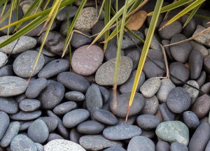 Zwart rond siergrind voor je tuin of terras: Beach Pebbles zwart - Amagard.com