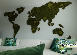 Moswens wereldkaart van mos