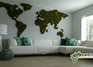 Moswens wereldkaart van mos