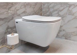 Modern rimfree toilet