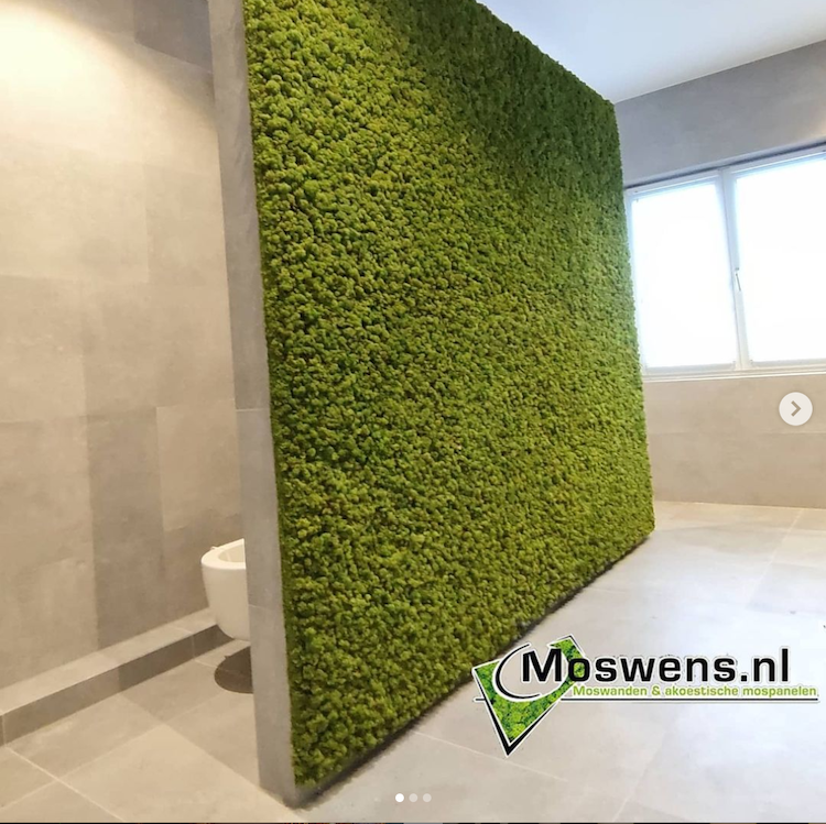 Groene moswand in de badkamer | Moswens