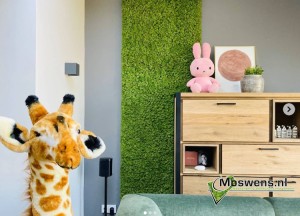 Moswand in de kinderkamer | Moswens