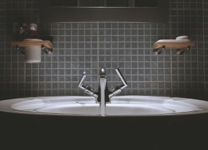Haal dubbele winst uit je duurzame badkamer - Sanidrõme