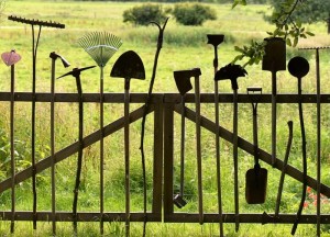 Welk tuingereedschap heb je nodig om je tuin herfst klaar te maken? - 