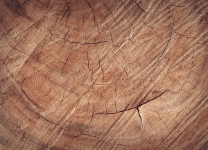 Vloertegels houtlook: sfeervol en gebruiksvriendelijk - 