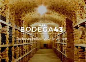 Een BODEGA43 Wijnklimaatkast voegt stijl en elegantie toe aan uw woning - 