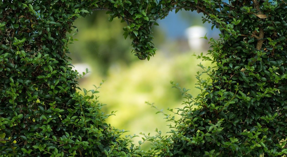 Een opgeruimde tuin geeft je relatie een boost