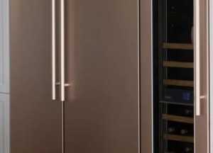 Ral gekleurde luxe koelkasten | Fhiaba - 