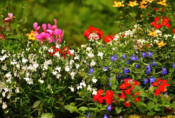 7 manieren om je tuin zomerklaar te maken - WOLF-Garten