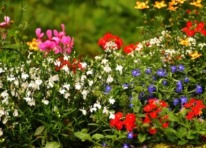 7 manieren om je tuin zomerklaar te maken - WOLF-Garten