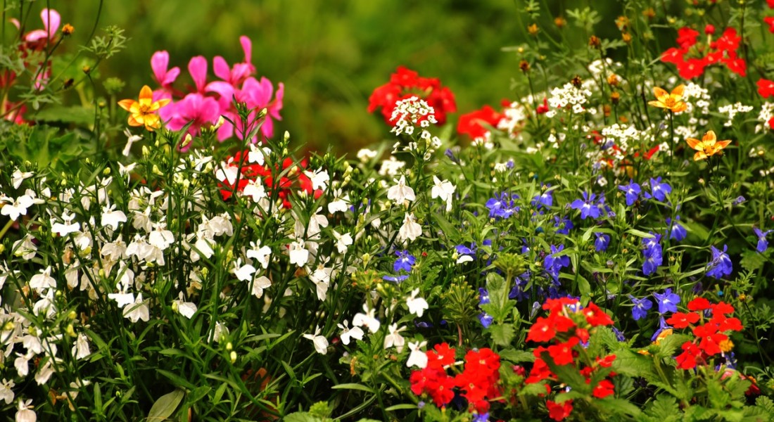 7 manieren om je tuin zomerklaar te maken