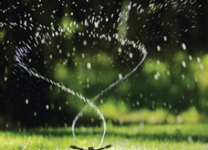 Tips bij droogte en wateroverlast in de tuin - 