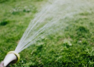 Waterbeheer in je achtertuin is belangrijk: zo pak je dat aan!