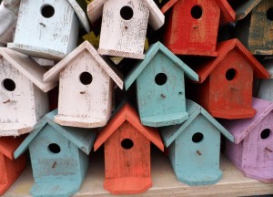 5 dingen die iedereen moet weten over vogelhuisjes - 