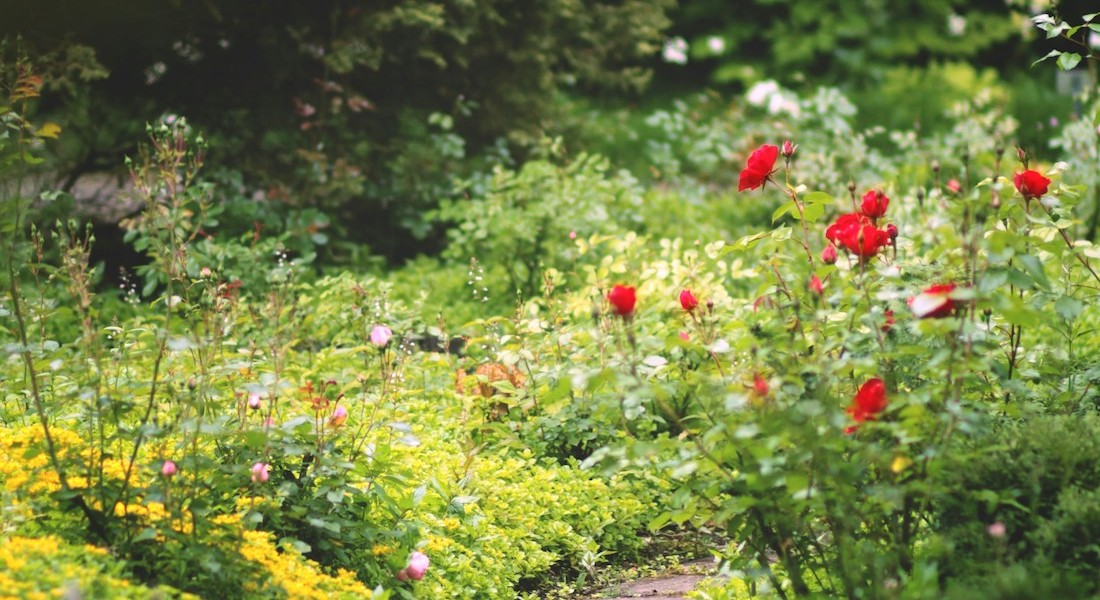 Maak van je tuin een ontspannen plek met een buitensauna!