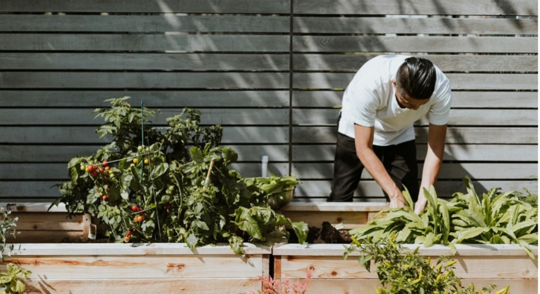 Je eigen moestuin beginnen: 6 tips voor een goede start