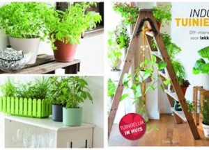 Indoor tuinieren: je huis een groene oase - 