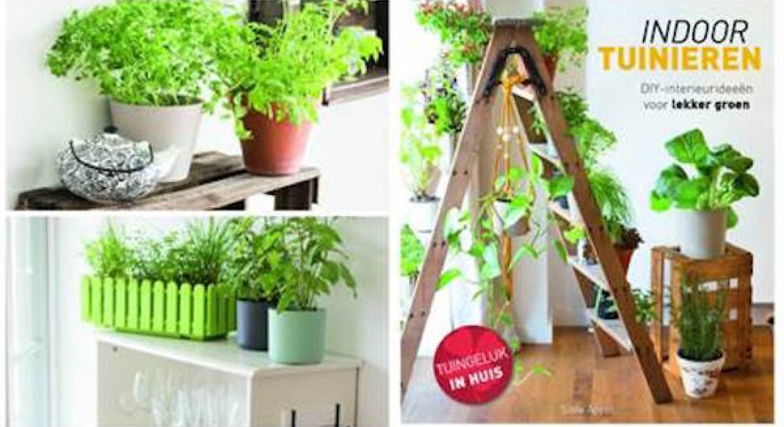 Indoor tuinieren: je huis een groene oase