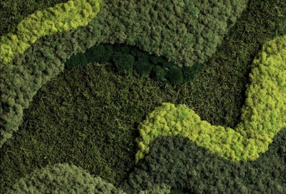 Groen momentje in de badkamer - Moswens
