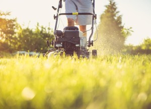 Je tuin lenteklaar maken: onze tips