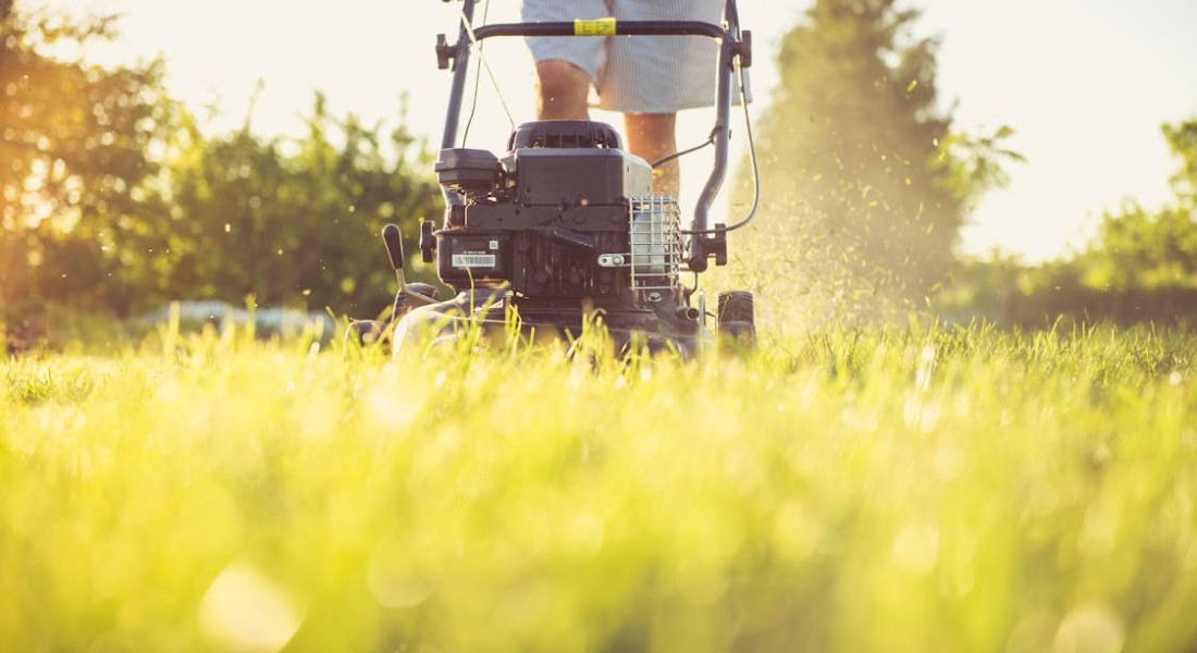 Je tuin lenteklaar maken: onze tips