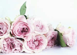 Woondecoratie met klasse: waarom zijdebloemen terug zijn van nooit weggeweest