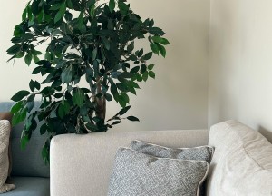 Waarom kunstplanten jouw interieur tot leven brengen - 