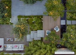 Een groene oase in de stad: Project Knops Tuindesign