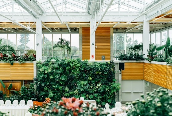 Foto - Groenstyling