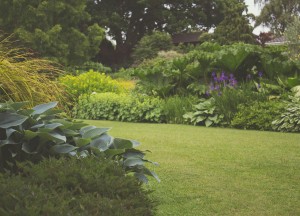 De 7 mooiste manieren om kunstplanten in je tuin of balkon te gebruiken