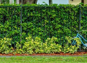 Onmisbare basis voor natuurlijke tuinafscheidingen