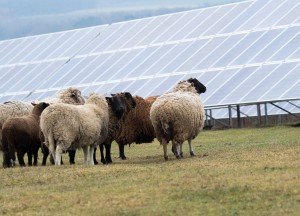 Vloerverwarming met zonnepanelen of warmtepomp | Duurzaam comfort met Uniwarm - UniWarm