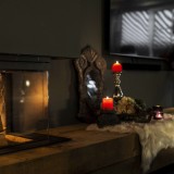 Foto 0 - Succeshaard uit TEGELEN