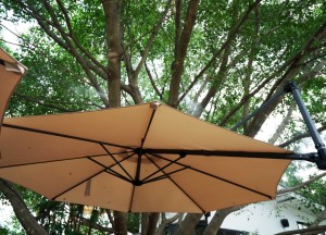 4 redenen waarom je een grote parasol in je tuin wilt - Etagon