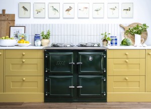 1000 T PRO | ESSE - Esse Cookers & Stoves