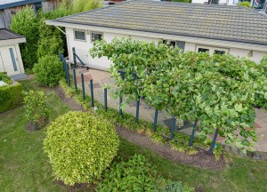 Glazen windscherm | Metalura