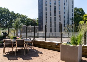 Glazen windscherm | Metalura