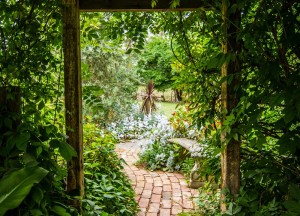 Deze klusjes in je tuin moeten regelmatig herhaald worden - 