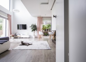 Hoe belangrijk is luchtvochtigheid in je woning? - 