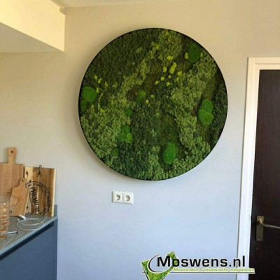 FotoGroen in huis met een uniek mosschilderij